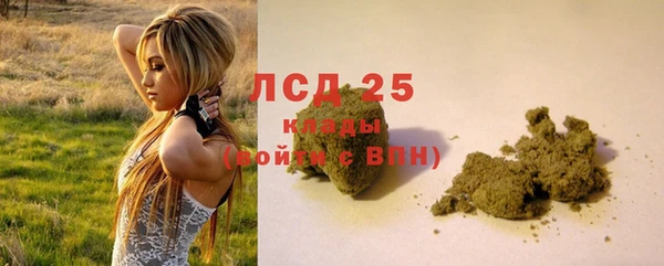 индика Белоозёрский