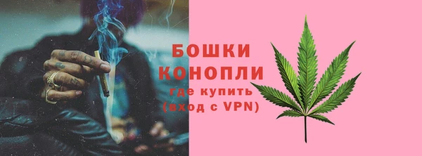 индика Белоозёрский