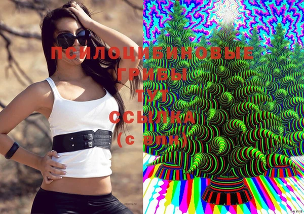 mix Богородицк