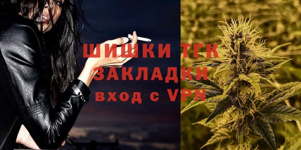 гидра Белокуриха