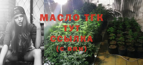 индика Белоозёрский