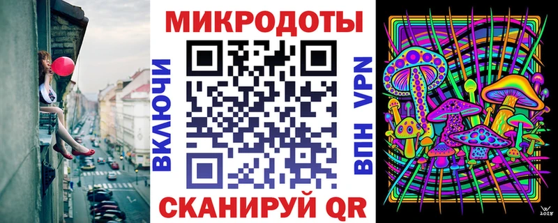 shop телеграм  Большой Камень  Псилоцибиновые грибы мицелий 